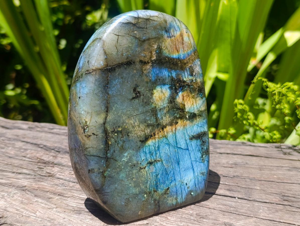 Polished Labradorite Standing Free Forms x 2 From Madagascar