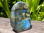 Polished Labradorite Standing Free Forms x 2 From Madagascar