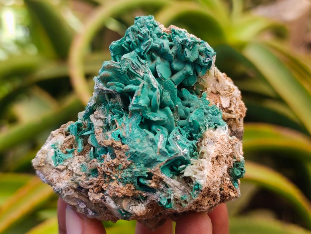 Natural Rare Bladed Barite and Malachite Specimens x 6 From Congo