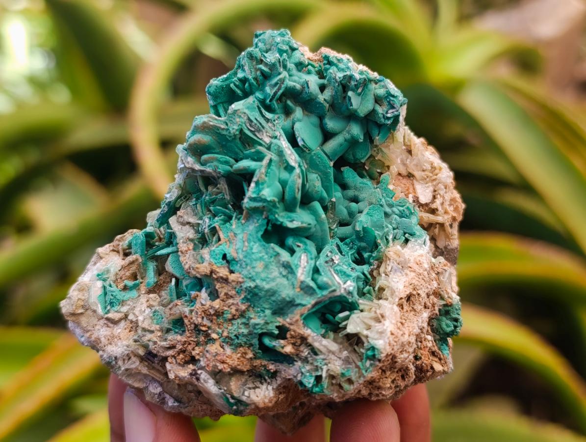 Natural Rare Bladed Barite and Malachite Specimens x 6 From Congo