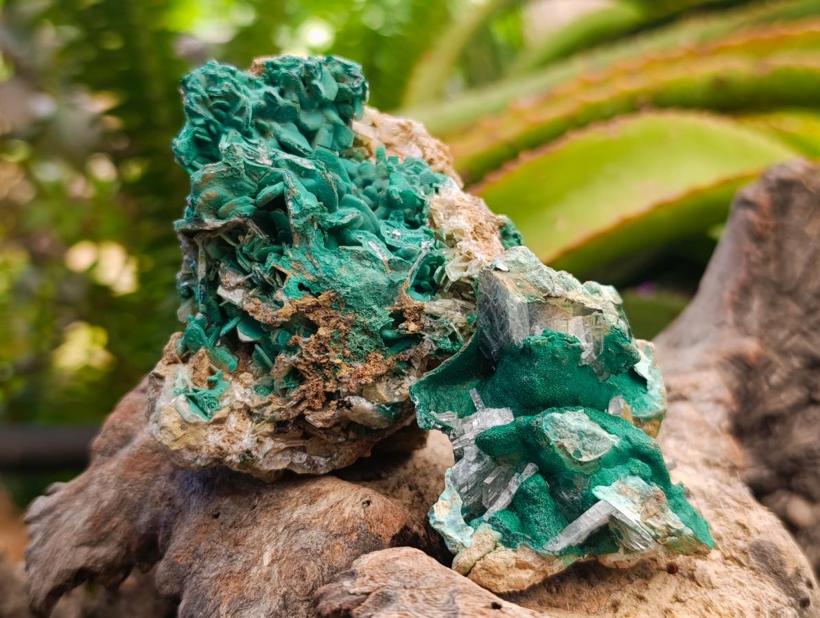 Natural Rare Bladed Barite and Malachite Specimens x 6 From Congo