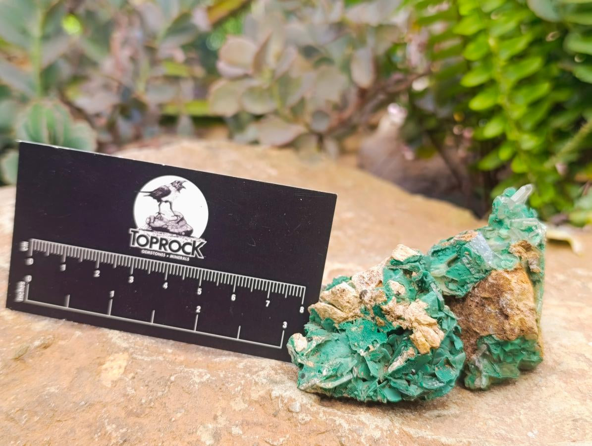 Natural Rare Bladed Barite and Malachite Specimens x 6 From Congo