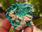 Natural Rare Bladed Barite and Malachite Specimens x 6 From Congo
