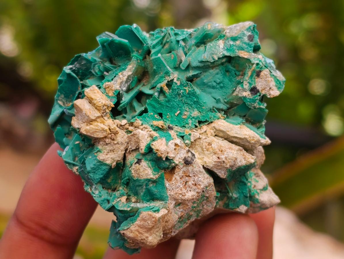 Natural Rare Bladed Barite and Malachite Specimens x 6 From Congo