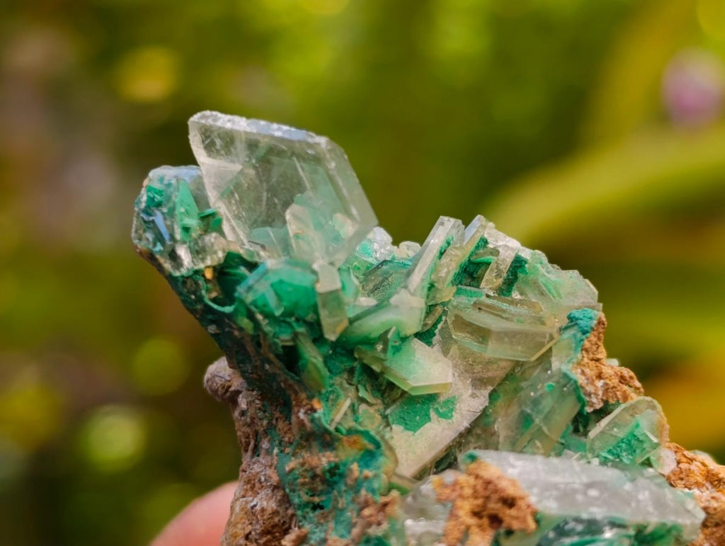 Natural Rare Bladed Barite and Malachite Specimens x 6 From Congo