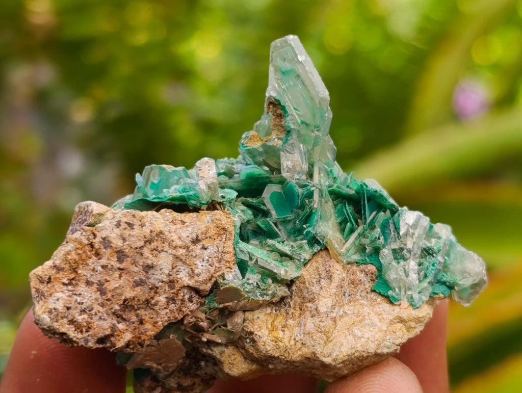 Natural Rare Bladed Barite and Malachite Specimens x 6 From Congo
