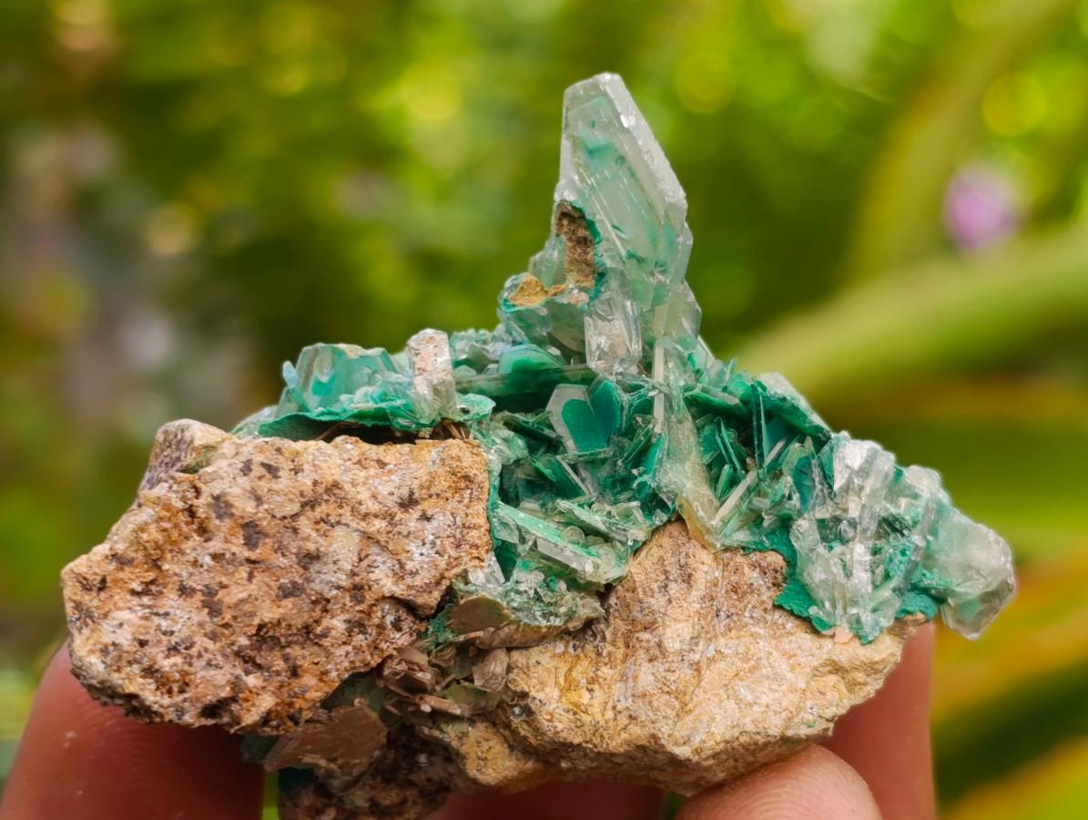 Natural Rare Bladed Barite and Malachite Specimens x 6 From Congo