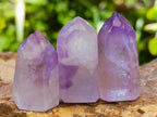 Polished Window Amethyst Crystals One with Enhydro x 20 From Akansobe, Madagascar
