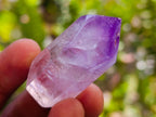 Polished Window Amethyst Crystals One with Enhydro x 20 From Akansobe, Madagascar