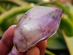 Polished Window Amethyst Crystals One with Enhydro x 20 From Akansobe, Madagascar