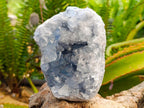 Natural Blue Celestite Crystal Cluster Specimens x 2 From Sakoany, Madagascar