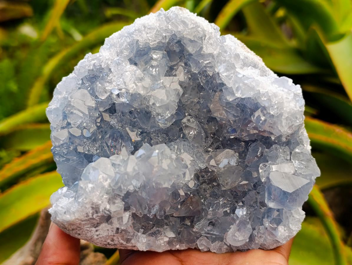Natural Blue Celestite Crystal Cluster Specimens x 2 From Sakoany, Madagascar