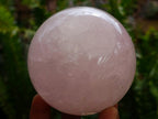 Polished Gemmy Star Rose Quartz Spheres x 3 From Madagascar