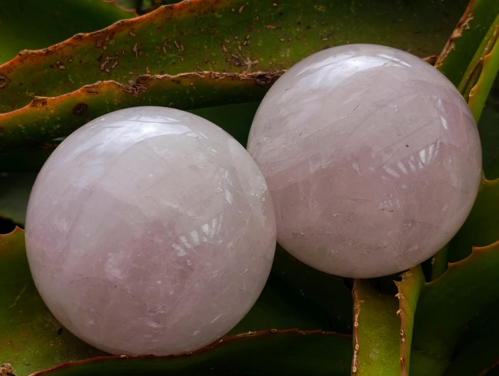 Polished Gemmy Star Rose Quartz Spheres x 3 From Madagascar