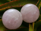 Polished Gemmy Star Rose Quartz Spheres x 3 From Madagascar