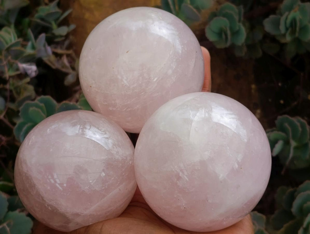 Polished Gemmy Star Rose Quartz Spheres x 3 From Madagascar