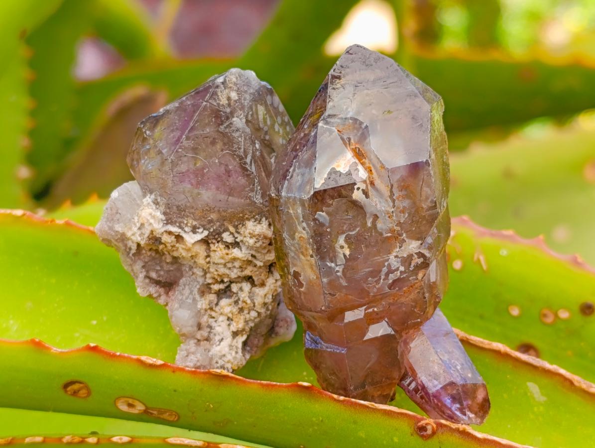 Natural Window Amethyst Crystals x 20 From Chiredzi, Zimbabwe