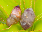 Natural Window Amethyst Crystals x 20 From Chiredzi, Zimbabwe