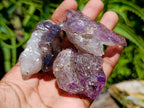 Natural Window Amethyst Crystals x 20 From Chiredzi, Zimbabwe