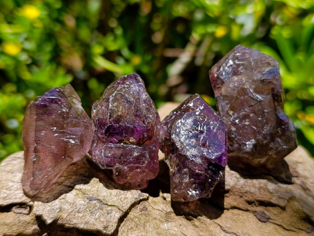 Natural Window Amethyst Crystals x 20 From Chiredzi, Zimbabwe