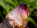 Natural Window Amethyst Crystals x 20 From Chiredzi, Zimbabwe