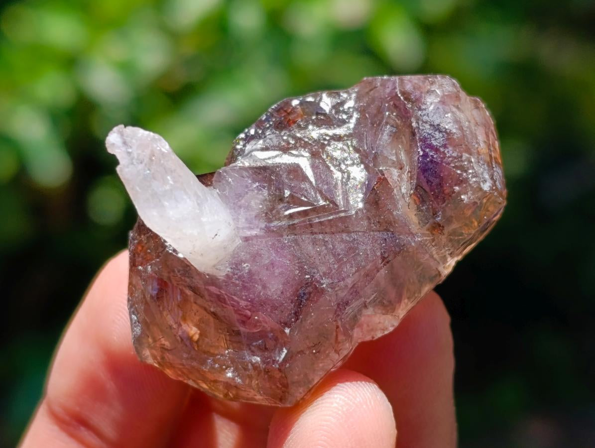 Natural Window Amethyst Crystals x 20 From Chiredzi, Zimbabwe