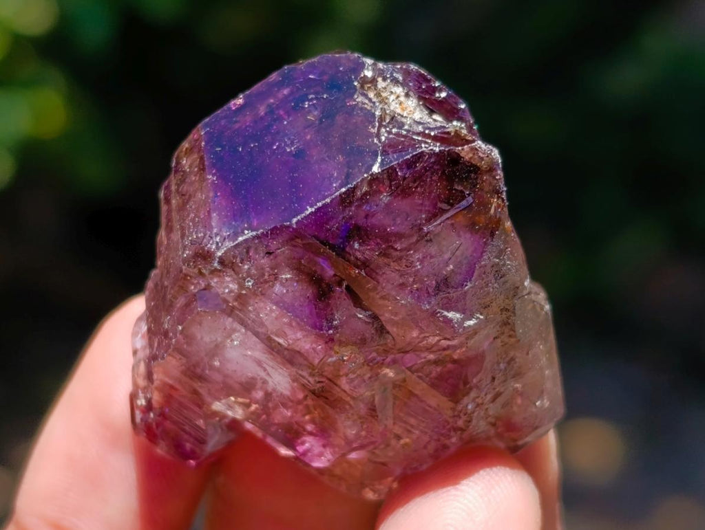 Natural Window Amethyst Crystals x 20 From Chiredzi, Zimbabwe