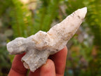 Natural Drusy Quartz Coated Spearhead Calcite Crystals x 35 From Albert's Mountain, Lesotho