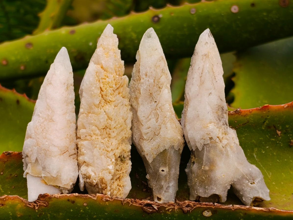 Natural Drusy Quartz Coated Spearhead Calcite Crystals x 35 From Albert's Mountain, Lesotho