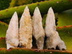 Natural Drusy Quartz Coated Spearhead Calcite Crystals x 35 From Albert's Mountain, Lesotho