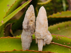 Natural Drusy Quartz Coated Spearhead Calcite Crystals x 35 From Albert's Mountain, Lesotho