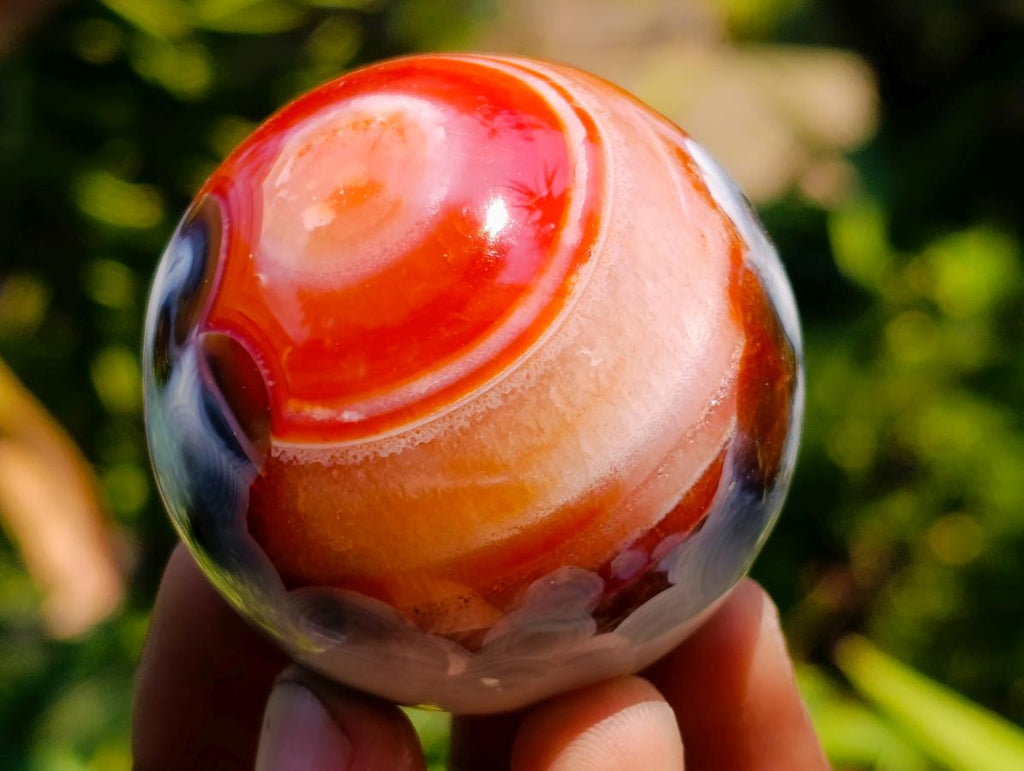 Polished Carnelian Agate Gemstone Spheres x 12 From Madagascar