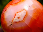 Polished Carnelian Agate Gemstone Spheres x 12 From Madagascar