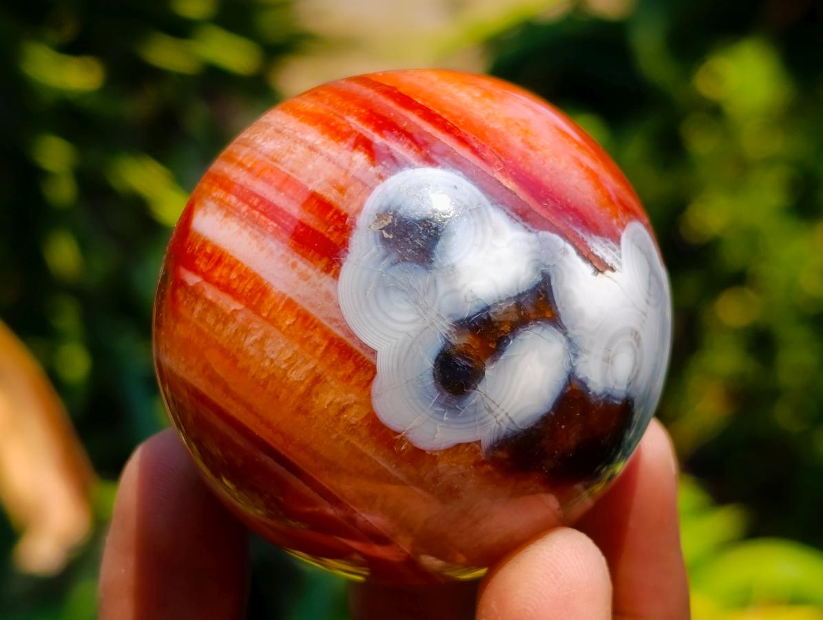 Polished Carnelian Agate Gemstone Spheres x 12 From Madagascar