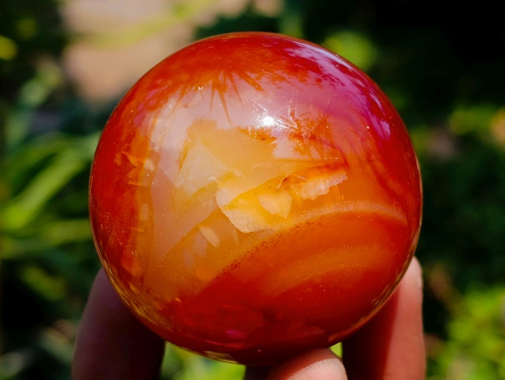 Polished Carnelian Agate Gemstone Spheres x 12 From Madagascar