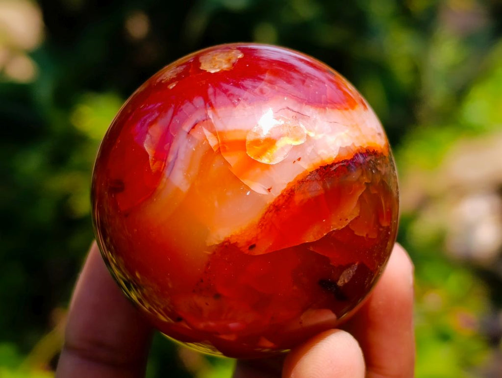 Polished Carnelian Agate Gemstone Spheres x 12 From Madagascar