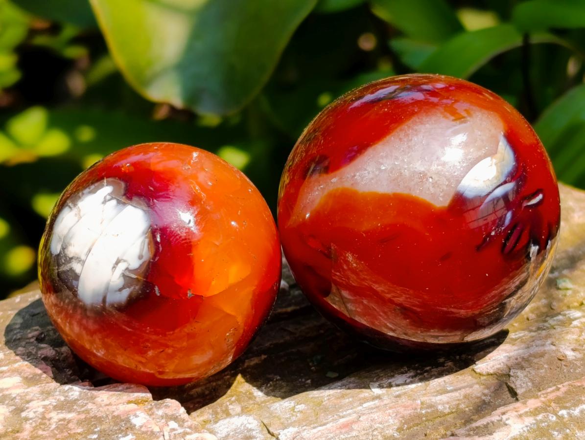 Polished Carnelian Agate Gemstone Spheres x 12 From Madagascar