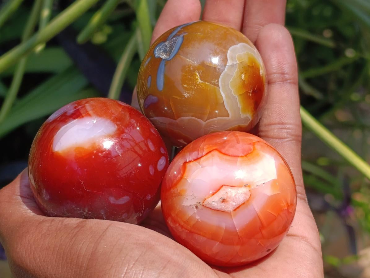Polished Carnelian Agate Gemstone Spheres x 12 From Madagascar