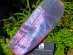 Polished Rare Purple Sunset Flash Labradorite Standing Free Form x 1 From Madagascar