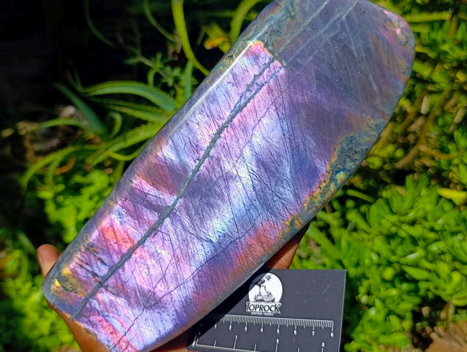 Polished Rare Purple Sunset Flash Labradorite Standing Free Form x 1 From Madagascar