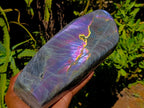 Polished Rare Purple Sunset Flash Labradorite Standing Free Form x 1 From Madagascar