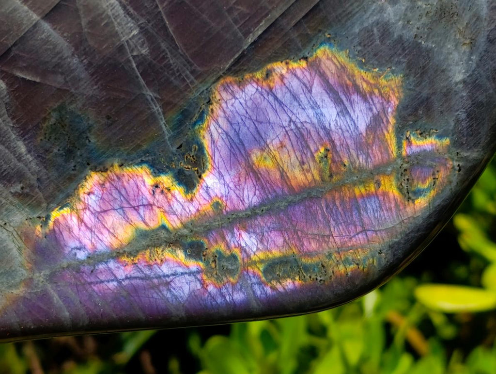 Polished Rare Purple Sunset Flash Labradorite Standing Free Form x 1 From Madagascar