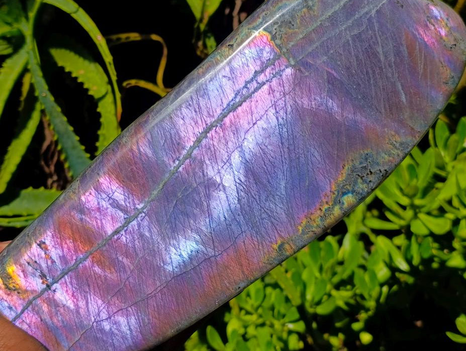 Polished Rare Purple Sunset Flash Labradorite Standing Free Form x 1 From Madagascar