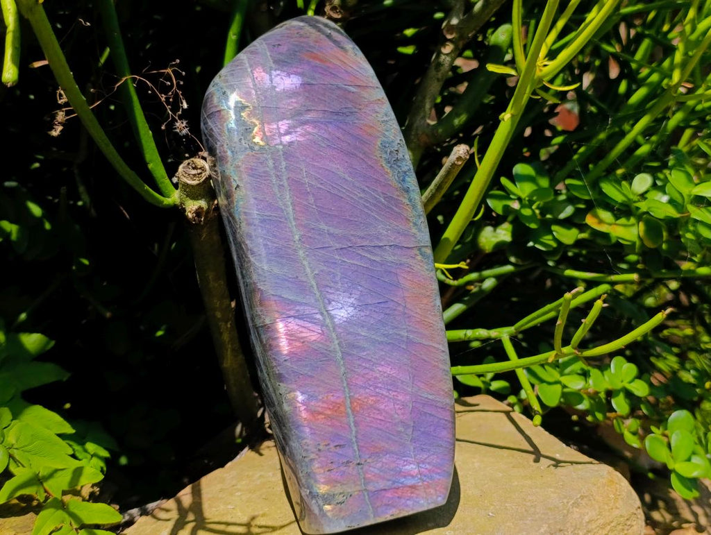 Polished Rare Purple Sunset Flash Labradorite Standing Free Form x 1 From Madagascar