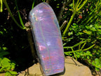 Polished Rare Purple Sunset Flash Labradorite Standing Free Form x 1 From Madagascar