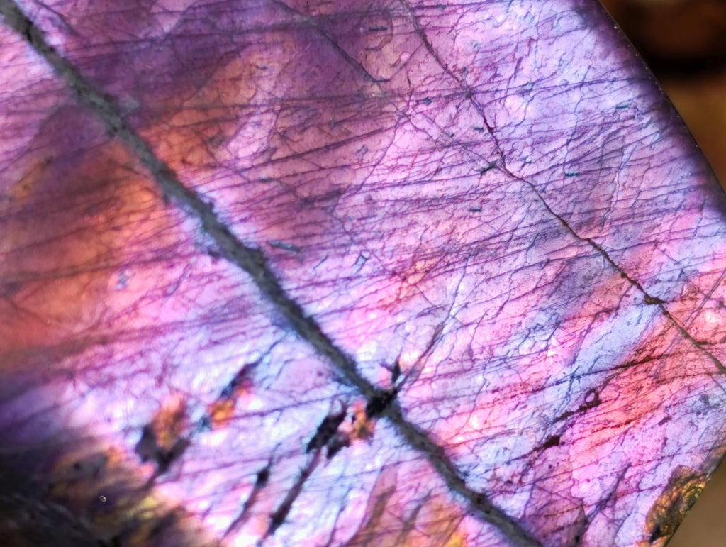 Polished Rare Purple Sunset Flash Labradorite Standing Free Form x 1 From Madagascar