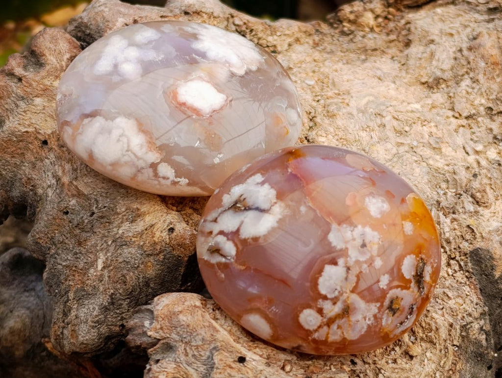 Polished Flower Agate Palm Stones x 20 From Antsahalova, Madagascar