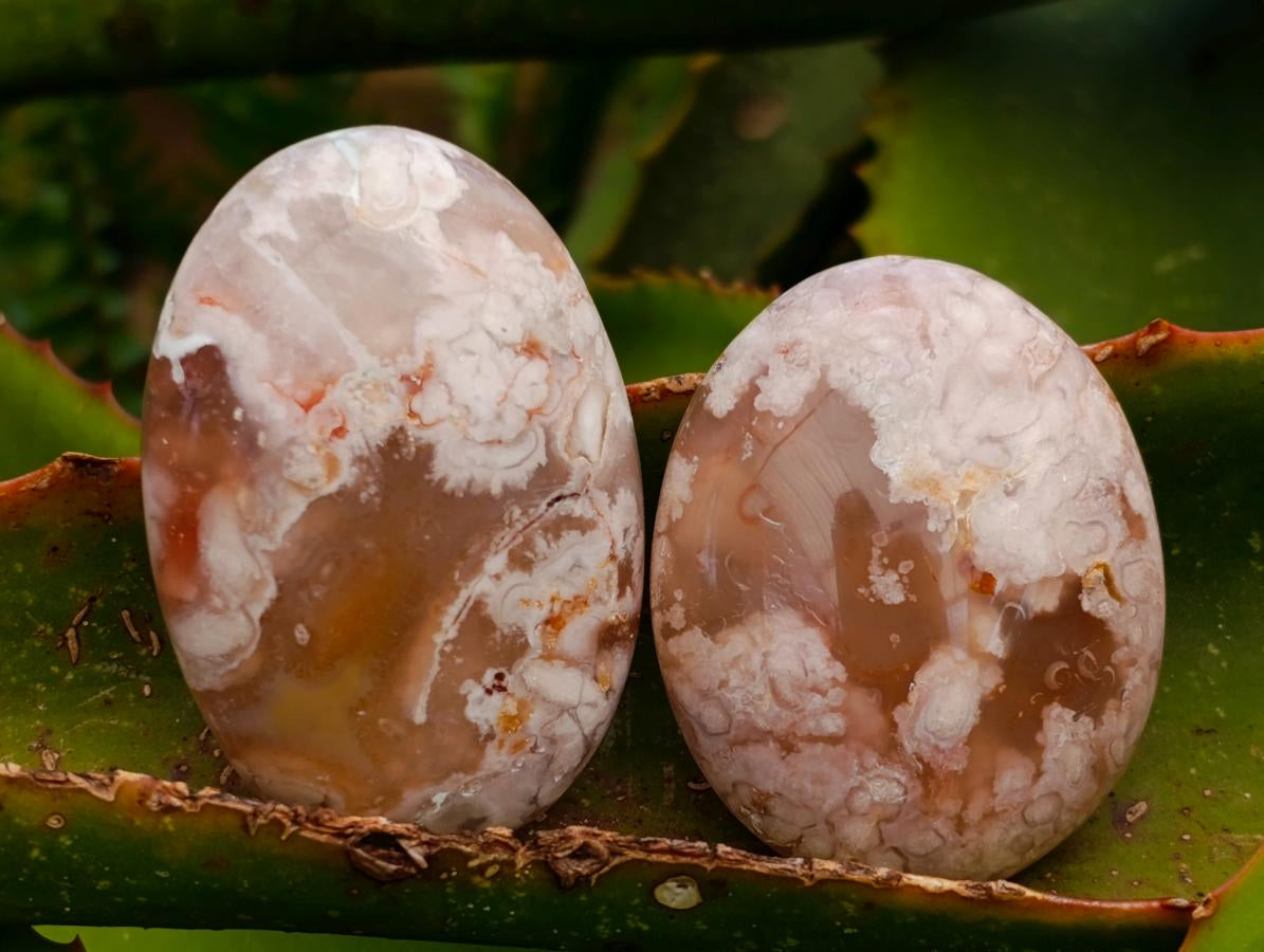 Polished Flower Agate Palm Stones x 20 From Antsahalova, Madagascar