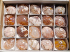 Polished Flower Agate Palm Stones x 20 From Antsahalova, Madagascar