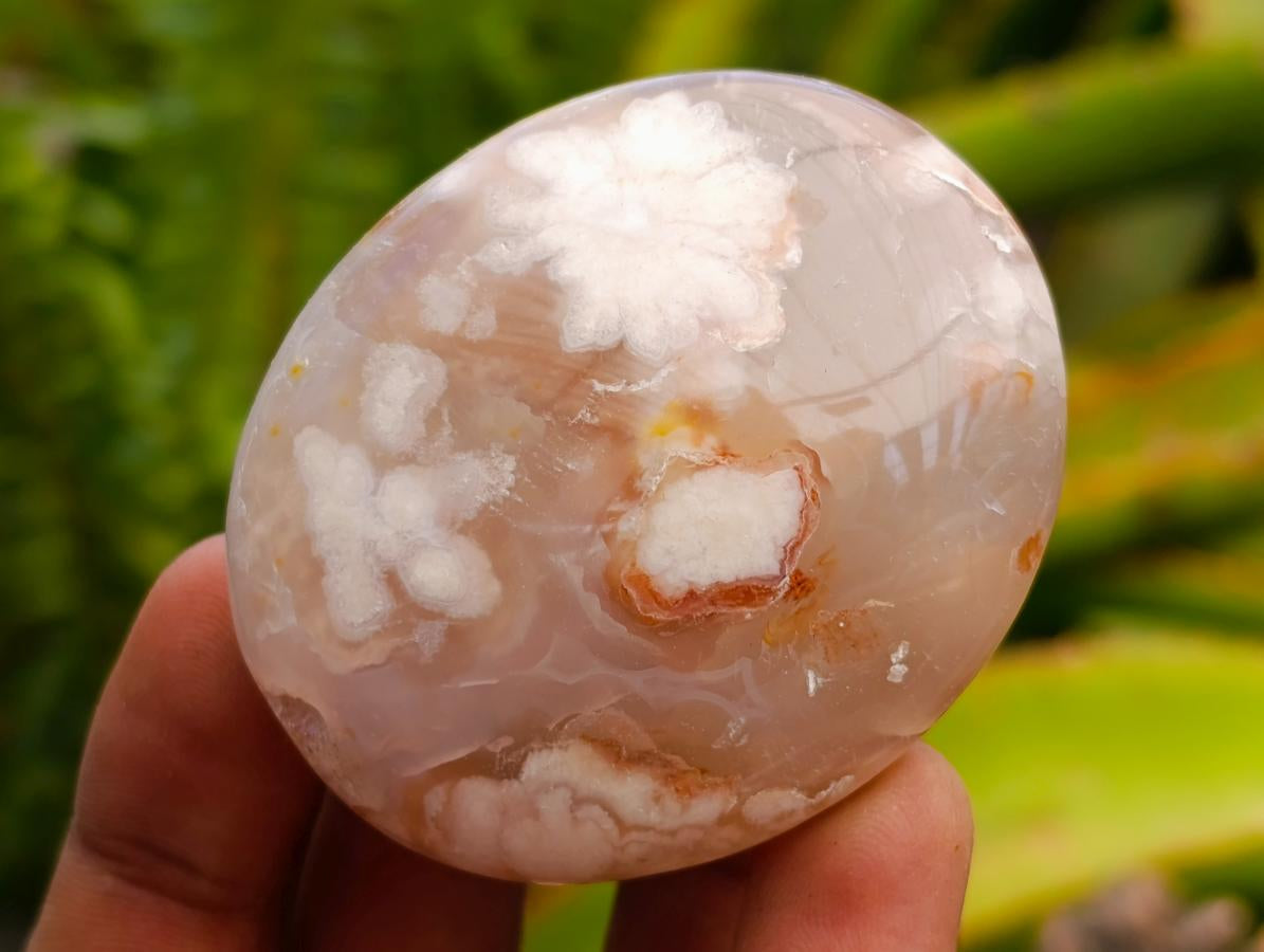 Polished Flower Agate Palm Stones x 20 From Antsahalova, Madagascar